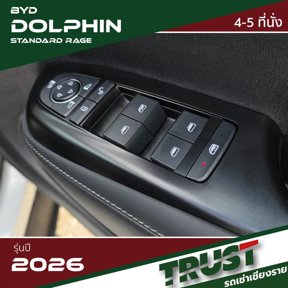 dolphin10 dolphin10