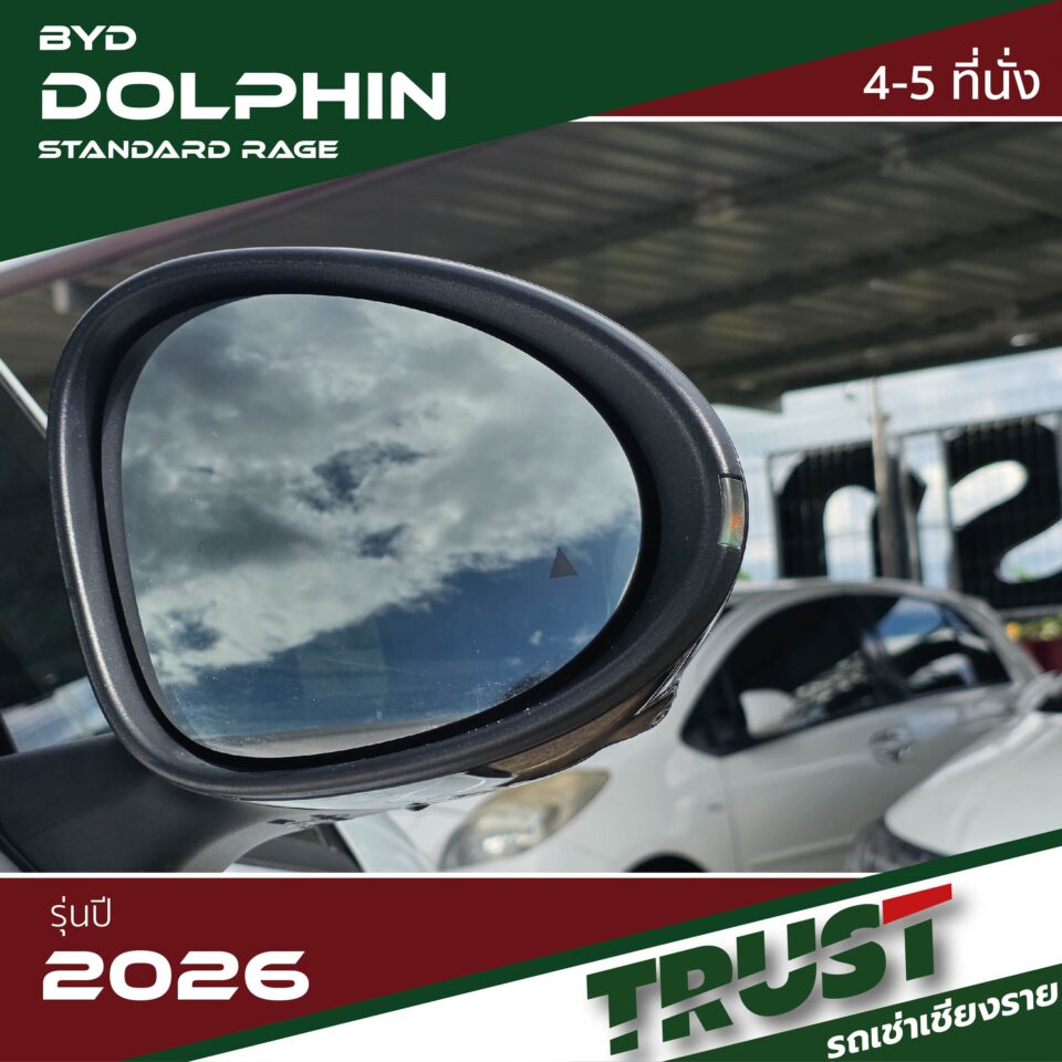 dolphin4 dolphin4