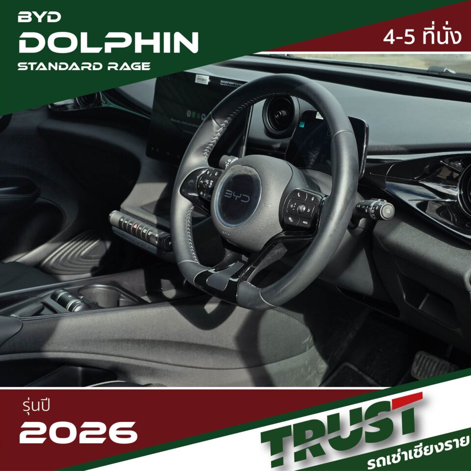 dolphin5 dolphin5