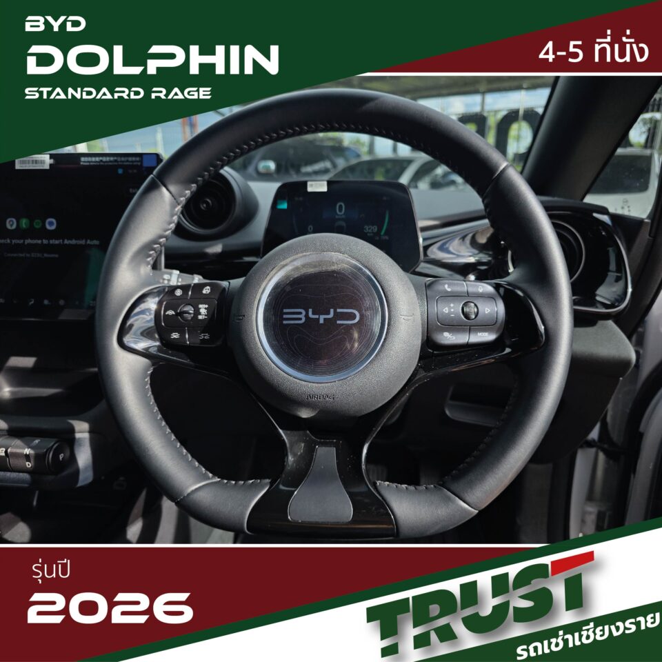 dolphin6 dolphin6
