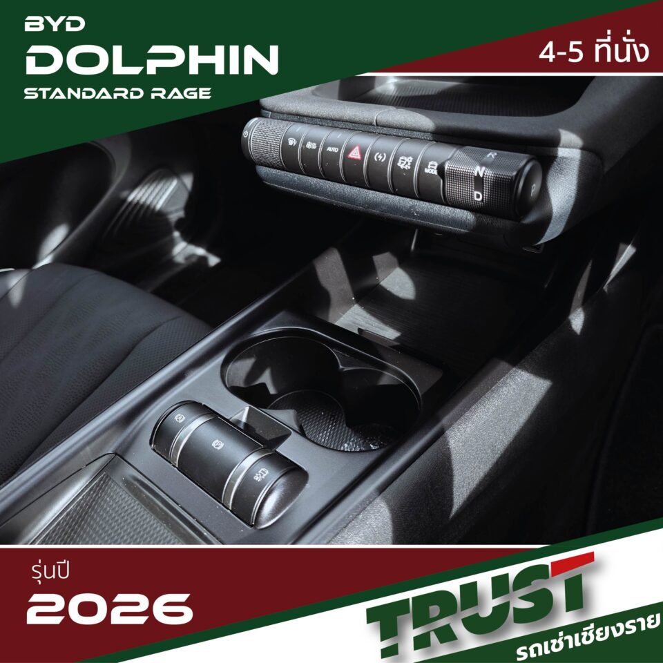 dolphin8 dolphin8