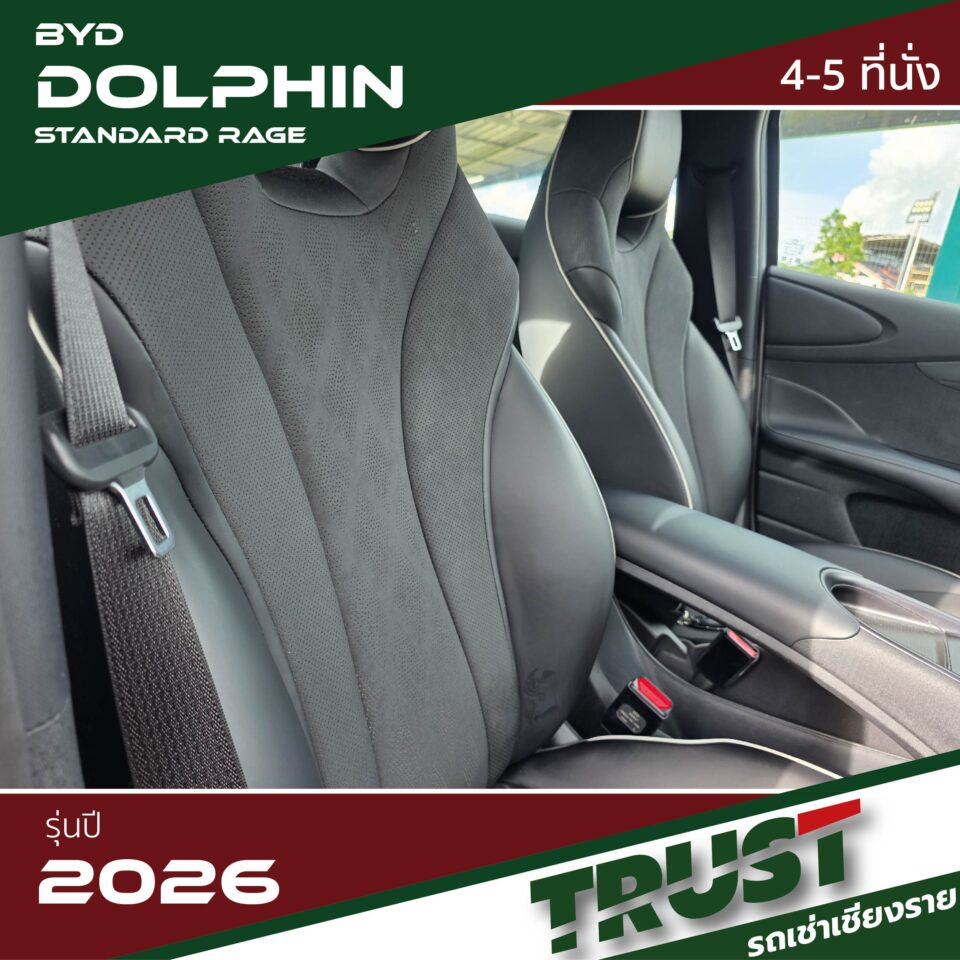 dolphin9 dolphin9